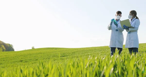 Caucasian female and male harvest researchers holding test tube with chemicals pesticides and laptop computer in green field. Biologists and ecologists colleagues working outdoor in wheat margin. — Zdjęcie stockowe