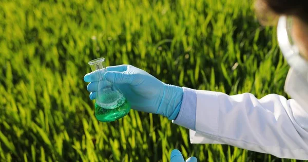 View over head on test tube with chemicals in hands in gloves of male Caucasian ecologist scientist in field. Man exploring and studying pesticides for good harvest outdoor in margin.