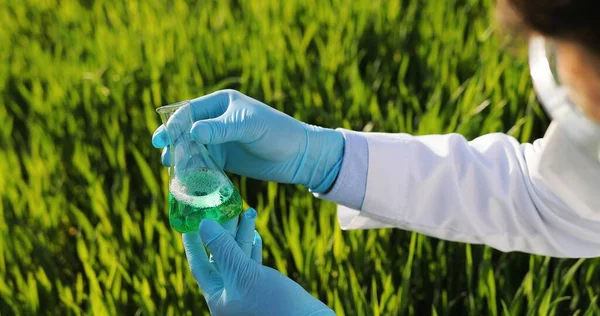 View over head on test tube with chemicals in hands in gloves of male Caucasian ecologist scientist in field. Man exploring and studying pesticides for good harvest outdoor in margin. — Stock Photo, Image