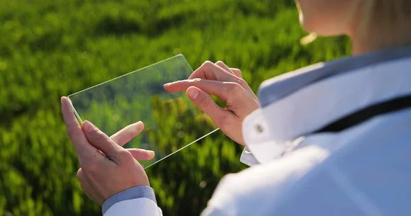 View over shoulder of male ecologist in white gown tapping on glass transparent screen. Close up of futuristic device in field. Touchscreen of hi-tech. Scientist with tablet of future in hands. — Stockfoto