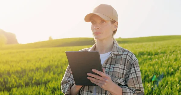 Portrait de belle jeune agricultrice en chapeau debout dans le champ et à l'aide d'un appareil tablette. Jolie femme caucasienne tapotant et faisant défiler sur tablette en marge verte avec récolte en été . — Photo