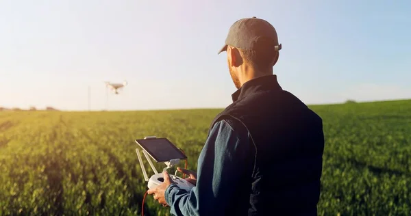 Caucasian man farmer in hat standing in green wheat field and controlling of drone which flying above margin. Male using tablet device as controller. Technologies in farming. Rear. Back view. — Stockfoto