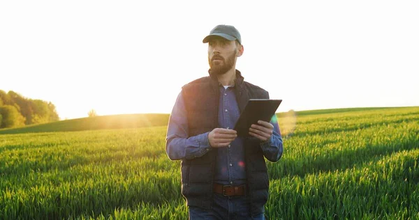 Caucasian man in hat walking the green field of wheat and using tablet computer. Young male farmer strolling in his margin and tapping on tablet device. Agricultural concept. — Stock Photo, Image