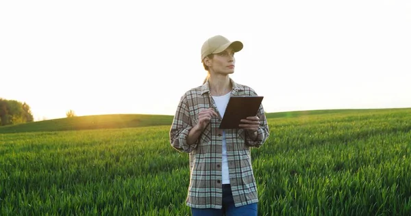 Caucasian pretty woman in hat walking the green field of wheat and using tablet computer. Young female farmer strolling in his margin and tapping on tablet device. Agricultural concept. — Stock Photo, Image