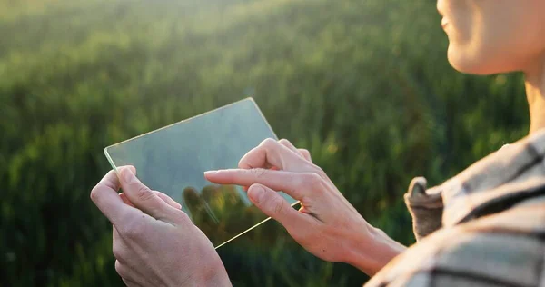 View over shoulder of female farmer in glass transparent screen in hands. Woman tapping on futuristic device while standing in green field. Touchscreen of hi-tech. Close up.