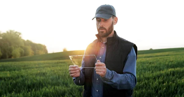 Close up of glass futuistic gadget in hands of male fermer who standing in green field in summer. Hi-tech technology of transparent device. Man tapping on tablet of future. Augmented reality. — 스톡 사진