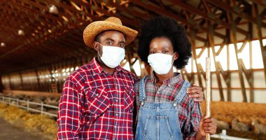 Portrait of African American young male and female couple of farmers standing together in hugs in sheep farm shed. Woman and man, veterinarians in medical masks hugging. Coronavirus. Dolly shot. clipart