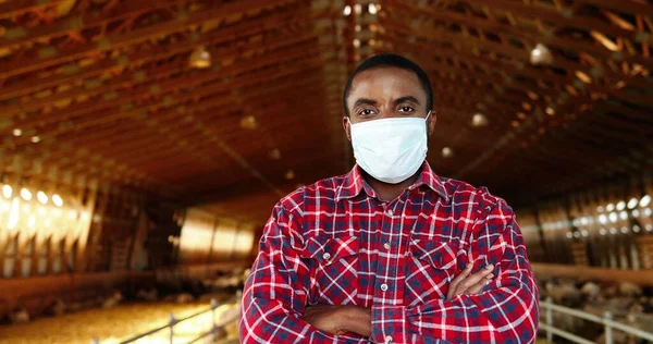 Retrato de homem alegre bonito em máscara médica e camisa variegada em pé no estábulo da fazenda de ovelhas e olhando para a câmera. Conceito pandêmico. Homem agricultor ou veterinário em galpão com gado. Dolly atirou — Fotografia de Stock