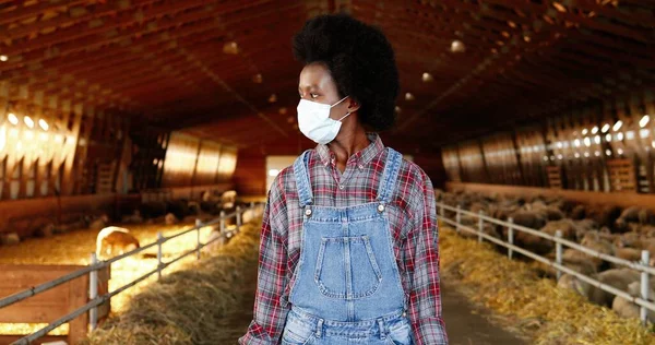 Retrato de una joven afroamericana con máscara médica y camisa abigarrada de pie en el establo de la granja de ovejas y mirando a la cámara. Concepto pandémico. Campesina en establo. Dolly disparó. —  Fotos de Stock
