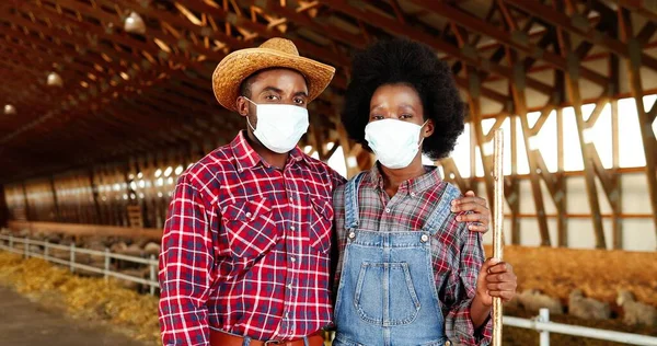 Portret van Afro-Amerikaanse jonge mannelijke en vrouwelijke paar boeren die samen staan in knuffels in schapenboerderij schuur. Vrouw en man, dierenartsen in medische maskers knuffelen. Coronavirus. Dolly schot. — Stockfoto