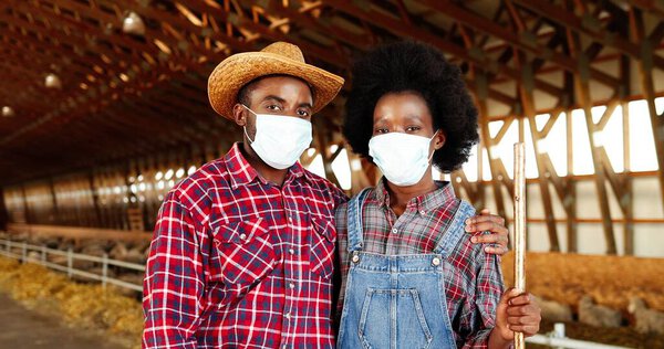 Portrait of African American young male and female couple of farmers standing together in hugs in sheep farm shed. Woman and man, veterinarians in medical masks hugging. Coronavirus. Dolly shot.