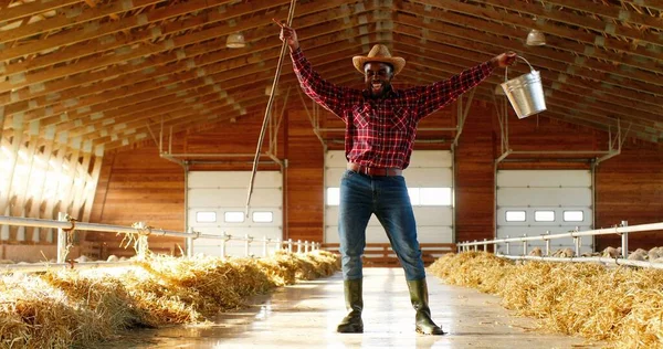 Joyeux jeune agriculteur afro-américain drôle en chapeau, jeans et chemise bigarrée tenant bâton et seau et dansant dans la remise, troupeau de moutons. Joyeux berger masculin s'amuser et danser se déplacer dans l'écurie. — Photo