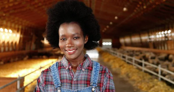 Portrait of African American young woman shepherd in motley shirt standing in stable of sheep farm, crossing hands, smiling and looking at camera. Female farmer in cattle shed. Dolly shot.