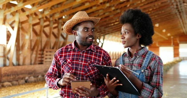 Couple afro-américain d'agriculteurs masculins et féminins debout dans la grange avec troupeau de moutons, parler et utiliser un appareil tablette. Bergers dans l'écurie avec du bétail, avoir une conversation et tapoter sur le gadget. — Photo