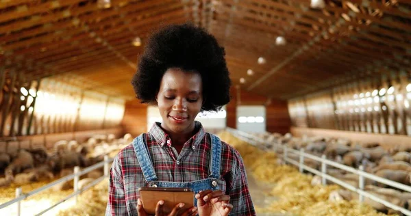 Giovane donna carina afroamericana che usa tablet e cammina in fattoria stabile. Femmina contadina toccando e scorrendo sul computer gadget in capannone. Entrando capannone con bestiame. — Foto Stock