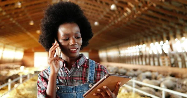 Genç Afro-Amerikan güzel kadın tablet kullanıyor ve çiftlik ahırında cep telefonuyla konuşuyor. Kadın çiftçi kulübedeki alet bilgisayarını tıkırdatıyor ve kaydırıyor. Cep telefonundan konuşan kız. — Stok fotoğraf