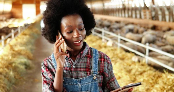 Young African American pretty woman using tablet device and talking on mobile phone in farm stable. Female farmer tapping and scrolling on gadget computer in shed. Girl speaking on cellphone — Stock Photo, Image