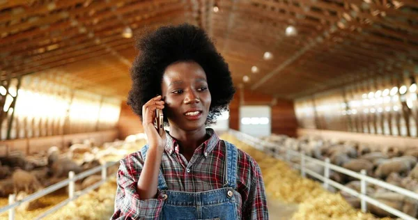 Jeune afro-américaine jolie femme parlant sur téléphone portable et marchant dans l'écurie de la ferme. Une agricultrice parlant sur son portable dans un hangar. Rentrer dans le hangar avec du bétail. Conversation téléphonique. — Photo