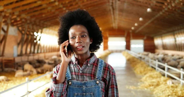 Young African American pretty woman talking on mobile phone and walking in farm stable. Female farmer speaking on cellphone in shed. Going inside shed with livestock. Telephone conversation.