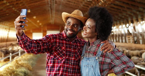 Afroameričtí veselý mladý pár fotí selfie ve stáji s ovcemi na smartphonu a usmívá se. Docela šťastná žena a pohledný muž, farmáři dělají obrázky na mobilním telefonu. Fotografie Selfie — Stock fotografie