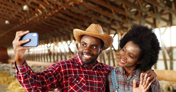 Afroameričtí veselý mladý pár fotí selfie ve stáji s ovcemi na smartphonu a usmívá se. Docela šťastná žena a pohledný muž, farmáři dělají obrázky na mobilním telefonu. Fotografie Selfie — Stock fotografie