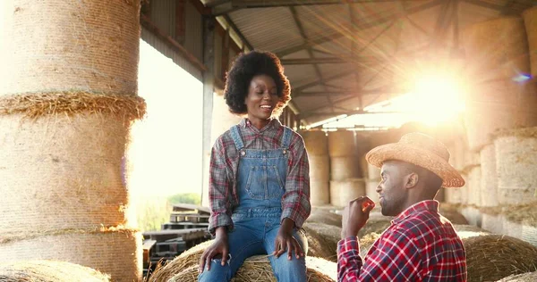 Vrolijke Afro-Amerikaanse boeren zitten op hooibergen en praten vrolijk in het zonlicht bij zonsondergang. Rust na een werkdag op de boerderij. Vreugdevolle jonge man en vrouw kletsen en spreken glimlachend. — Stockfoto