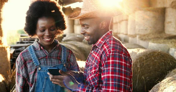 Afroamerikansk ung lycklig man bonde visar något för kvinna på smartphone. Några bönder i hölager som pratar i mobiltelefon. Begreppet landsbygd. Tappning och rullning på mobiltelefon — Stockfoto