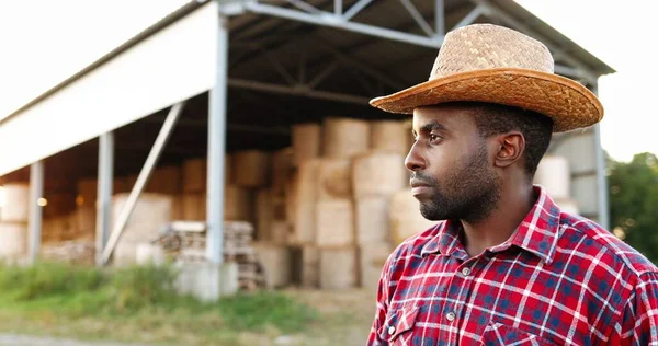 Jonge knappe Afro-Amerikaanse man boer in hoed staand en lachend met schuurtje vol hooi op de achtergrond. Portret van vrolijke mannelijke herder in stal. Buiten. Sluiten.. — Stockfoto