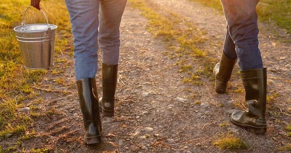 Parte trasera de los agricultores afroamericanos en botas que caminan en el campo afuera con cubo al atardecer o al amanecer. Vista posterior sobre el hombre y la mujer, los trabajadores agrícolas que pasean al trabajo o regresan. Temprano.. —  Fotos de Stock