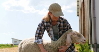 Beyaz, güzel, çoban bir kadın koyun tutuyor ve dışarıda okşuyor. Güzel bir dişi çiftçi. Hayvanları okşayıp okşuyor. Hayvancılık konsepti. Açık havada..