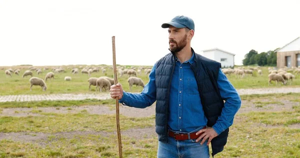 Portrét pohledného bílého mladého ovčáka v čepici a s klackem stojícím venku na poli. Ovce pasoucí se na zelené trávě. Chov dobytka. Vlněná farma. — Stock fotografie