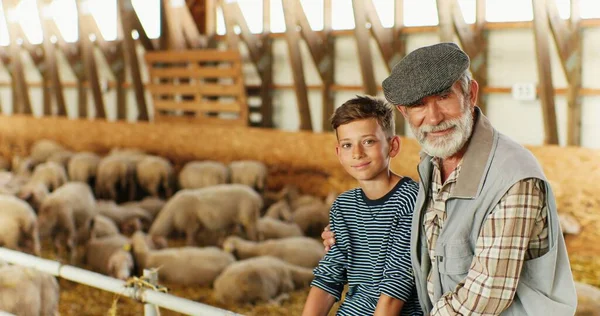 Portrait de vieil homme aux cheveux gris caucasien embrassant petit garçon mignon et souriant à la caméra tout en étant assis ensemble dans l'écurie avec des moutons. Petit-fils et grand-père embrassant dans la ferme avec du bétail. — Photo