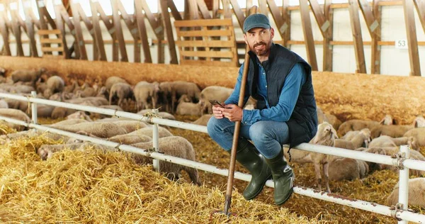 Sorriu alegre caucasiano bonito pastor masculino sentado no estábulo com ovelhas e mensagem de texto no smartphone. Feliz agricultor homem alegre no galpão com animais batendo e rolando no telefone celular. — Fotografia de Stock