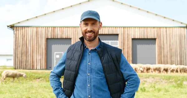 Portret van een blanke jonge glimlachte gelukkig man met baard poserend voor camera met handen aan de zijkanten en glimlachend. Knappe mannelijke boer op weiland met schapen die op de achtergrond grazen. — Stockfoto