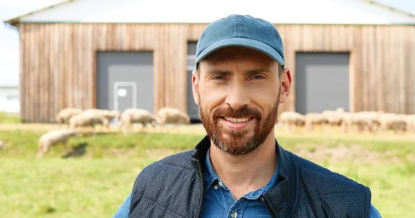 Retrato de caucasiano jovem sorriu homem feliz com barba posando para câmera com as mãos nas laterais e sorrindo. Bonito agricultor masculino em pé no campo de pastagem com ovelhas pastando no fundo. — Fotografia de Stock