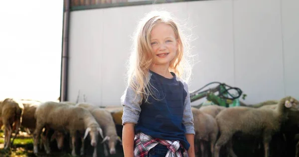Retrato de niña pequeña y caucásica con el pelo rubio de pie al aire libre en la granja de ganado y sonriendo a la cámara. Rebaño de ovejas en el fondo. Pequeño niño pasando el verano en la agricultura de lana. —  Fotos de Stock