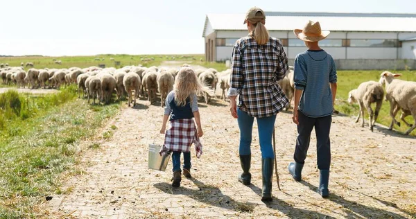 Rear op Kaukasische moeder herder wandelen met kleine zoon en dochter in de wei om schapen kudde grazen. Achteraanzicht op herders - jonge vrouw en kleine kinderen. Kinderen helpen bij de landbouw. Platteland. — Stockfoto