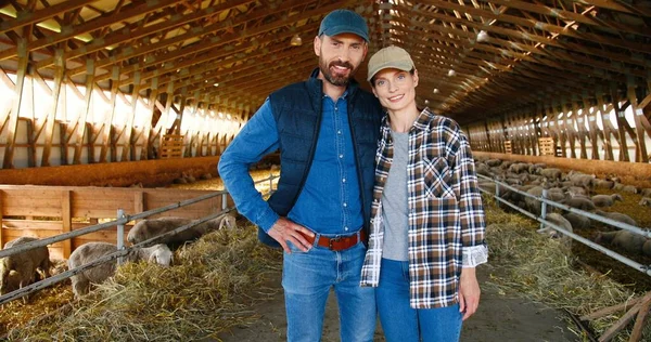 Portrait shot of Caucasian happy couple of shepherds standing in stable and hugging, smiling to camera and embracing. Dolly shot. Sheep flock in barn. Married man and woman at farming Together in hugs — Stock Photo, Image