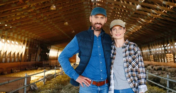 Portrait of Caucasian happy couple of shepherds standing in stable and hugging, smiling to camera and embracing. Sheep flock in barn. Cheerful farmers in embrace. Man and woman together in hugs. — Stock Photo, Image