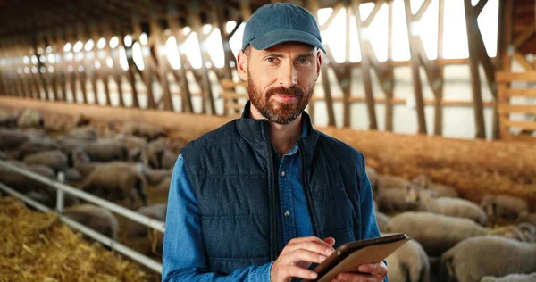 Portrait de berger homme caucasien souriant à la caméra dans hangar avec des animaux de boucherie et à l'aide d'un appareil tablette. Fermier masculin dans l'écurie de moutons tapant sur gadget. Je fais défiler l'ordinateur dans la grange. Navigation en ligne. — Photo