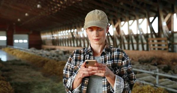 Beyaz bir kadın akıllı telefon kullanıyor ve çiftlik ahırında çalışıyor. Kadın çiftçi kulübede cep telefonunu dinleyip kaydırıyor. Shepherd telefonda mesaj yolluyor. Çiftçilik kavramı. — Stok fotoğraf