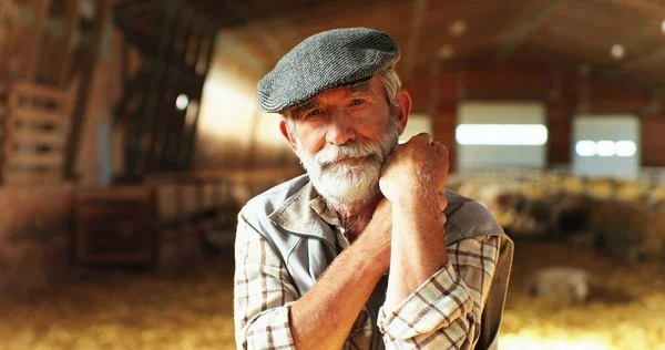 Portrait of handsome Caucasian old gray-haired man with beard and moustache looking at camera with shrewd eyes and leaning on stick of pitchfork. Male shepherd in stable. Close up.