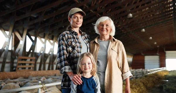 Portrait of Caucasian cheerful mother, old grandmother and cute small pretty girl in stable with sheep smiling to camera. senior woman with daughter and granddaughter standing in barn with livestock. — Stock Photo, Image