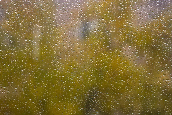 Otoño Ventana Cristal Con Gotas Lluvia Fondo — Foto de Stock