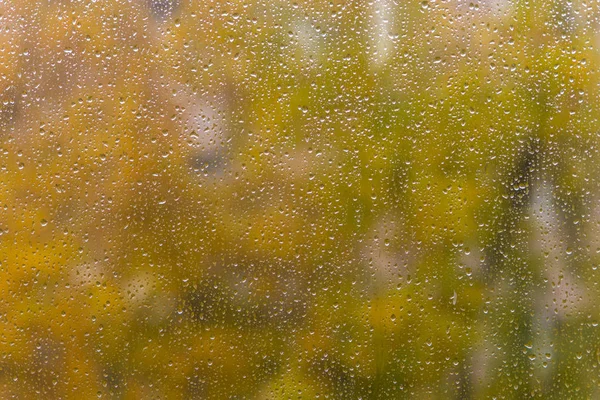 Jesienne Szklane Okno Kroplami Deszczu Tło — Zdjęcie stockowe