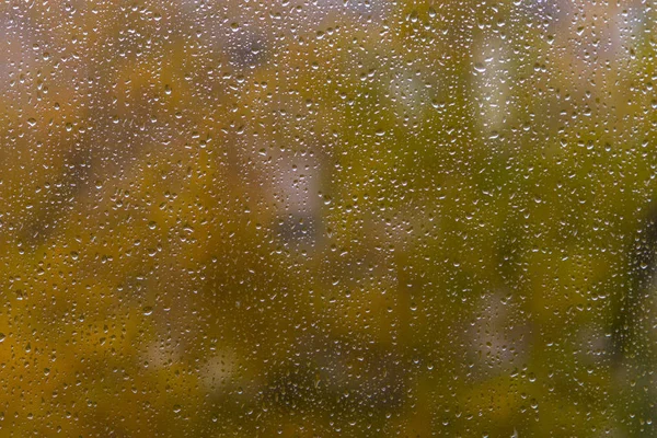 Fenêtre Verre Automne Avec Gouttes Pluie Fond — Photo