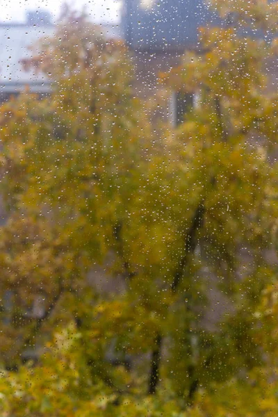 Jesienne Szklane Okno Kroplami Deszczu Tło — Zdjęcie stockowe