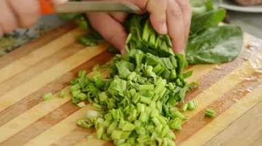 Kesme otlar ahşap tahta üzerinde yemek. Bir salata hazırlık.