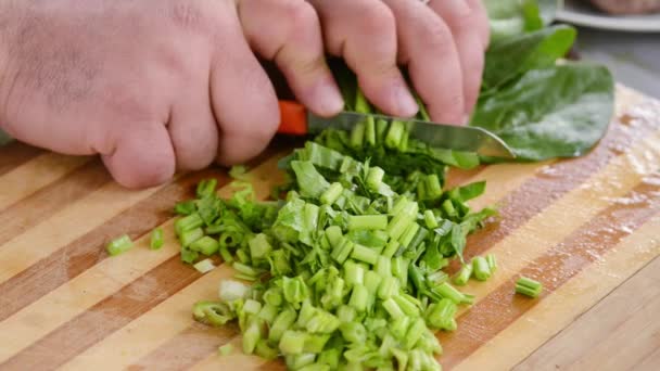 Cook Cutting Herbs Wooden Board Preparing Salad — Stock Video