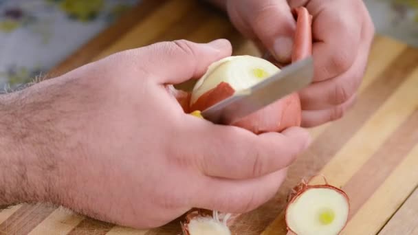 Masak Memotong Bawang Pada Kayu Board Preparing Salad — Stok Video